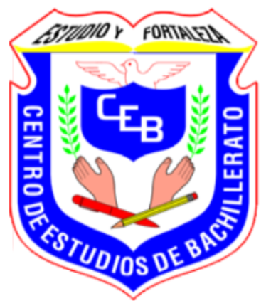 Texto alternativo descriptivo